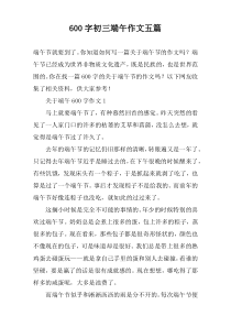 [600字]初三端午作文【五篇】