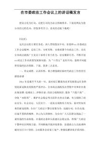 在市委政法工作会议上的讲话稿发言