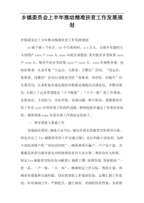 乡镇委员会上半年推动精准扶贫工作发展规划