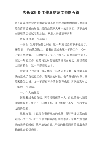 店长试用期工作总结范文范例【五篇】