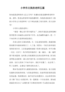 小学作文我的老师【五篇】