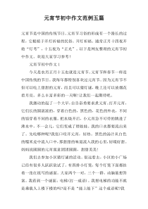 元宵节初中作文范例【五篇】