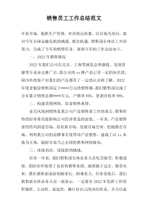 销售员工工作总结范文