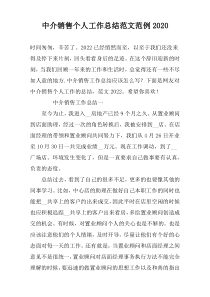 中介销售个人工作总结范文范例2022