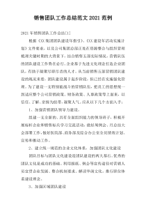 销售团队工作总结范文2022范例