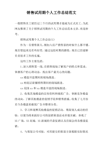销售试用期个人工作总结范文