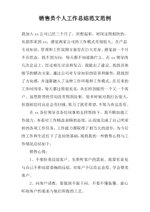 销售员个人工作总结范文范例