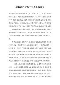 销售部门新员工工作总结范文