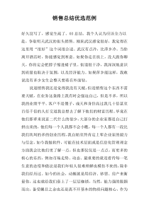 销售总结优选范例