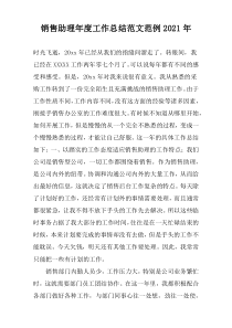 销售助理年度工作总结范文范例2022年