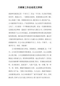 月销售工作总结范文样例