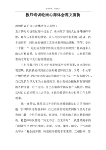 教师培训轮岗心得体会范文范例