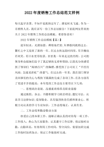 2022年度销售工作总结范文样例