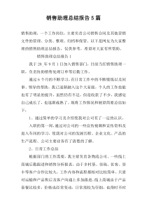 销售助理总结报告5篇