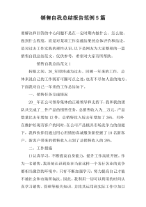 销售自我总结报告范例5篇