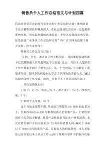 销售员个人工作总结范文与计划四篇