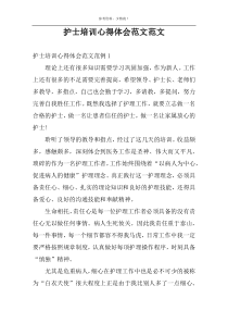 护士培训心得体会范文范文