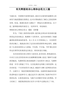 有关寒假培训心得体会范文三篇