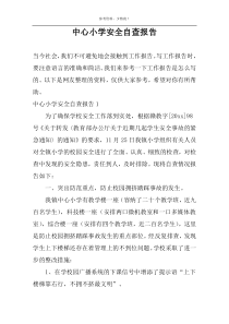 中心小学安全自查报告