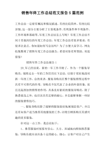销售年终工作总结范文报告5篇范例