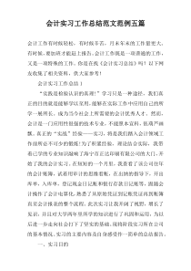 会计实习工作总结范文范例【五篇】