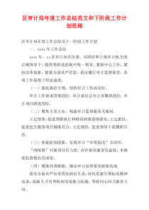 区审计局最新年度工作总结范文和下阶段工作计划思路