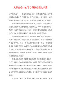 大学生会计实习心得体会范文八篇