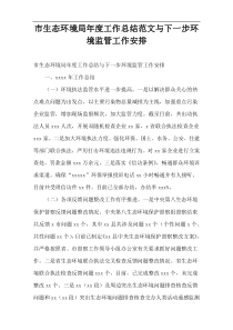 市生态环境局年度工作总结范文与下一步环境监管工作安排