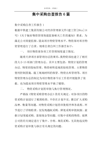 集中采购自查报告6篇