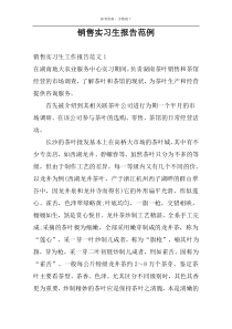 销售实习生报告范例