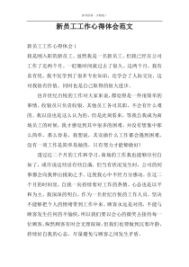 新员工工作心得体会范文