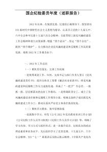 国企纪检委员年度（述职报告）