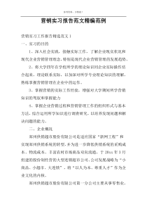 营销实习报告范文精编范例