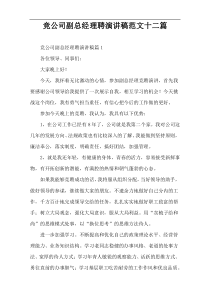 竞公司副总经理聘演讲稿范文十二篇