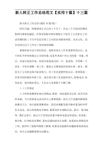 新人转正工作总结范文【实用十篇】十三篇