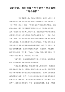 研讨发言：深刻把握“两个确立”坚决做到“两个维护”