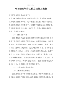 项目经理年终工作总结范文范例
