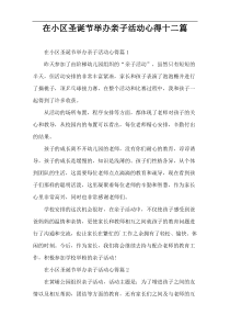 在小区圣诞节举办亲子活动心得十二篇