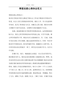 寒假实践心得体会范文