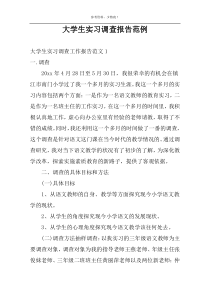 大学生实习调查报告范例