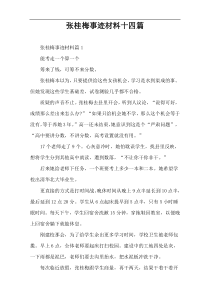张桂梅事迹材料十四篇