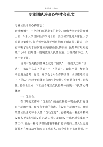 专业团队培训心得体会范文