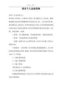 项目个人总结范例