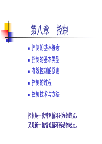 第8章管理的控制职能