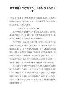 鼠年最新小学教师个人工作总结范文范例5篇