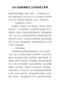 2022总监助理转正工作总结范文范例