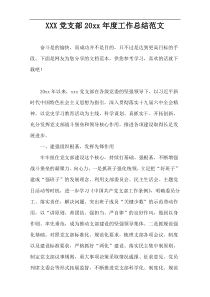 XXX党支部20xx年度工作总结范文