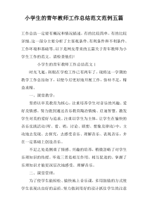 小学生的青年教师工作总结范文范例五篇