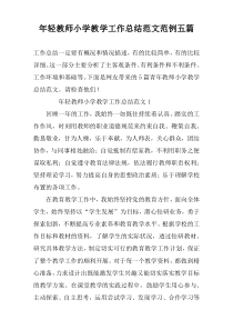 年轻教师小学教学工作总结范文范例五篇