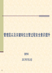 管理层以及关键岗位主管过程安全意识提升(张作本)